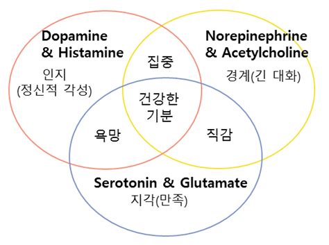 세로토닌 도파민 차이